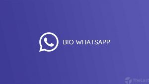 BIO WhatsApp
