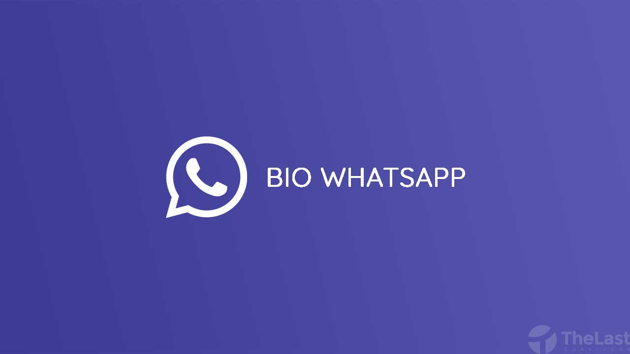 BIO WhatsApp