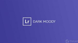 dark moody