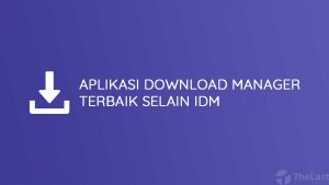 download manager selain idm