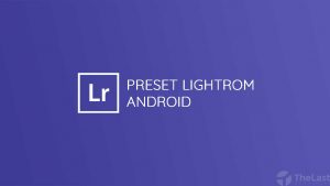 preset lightroom android