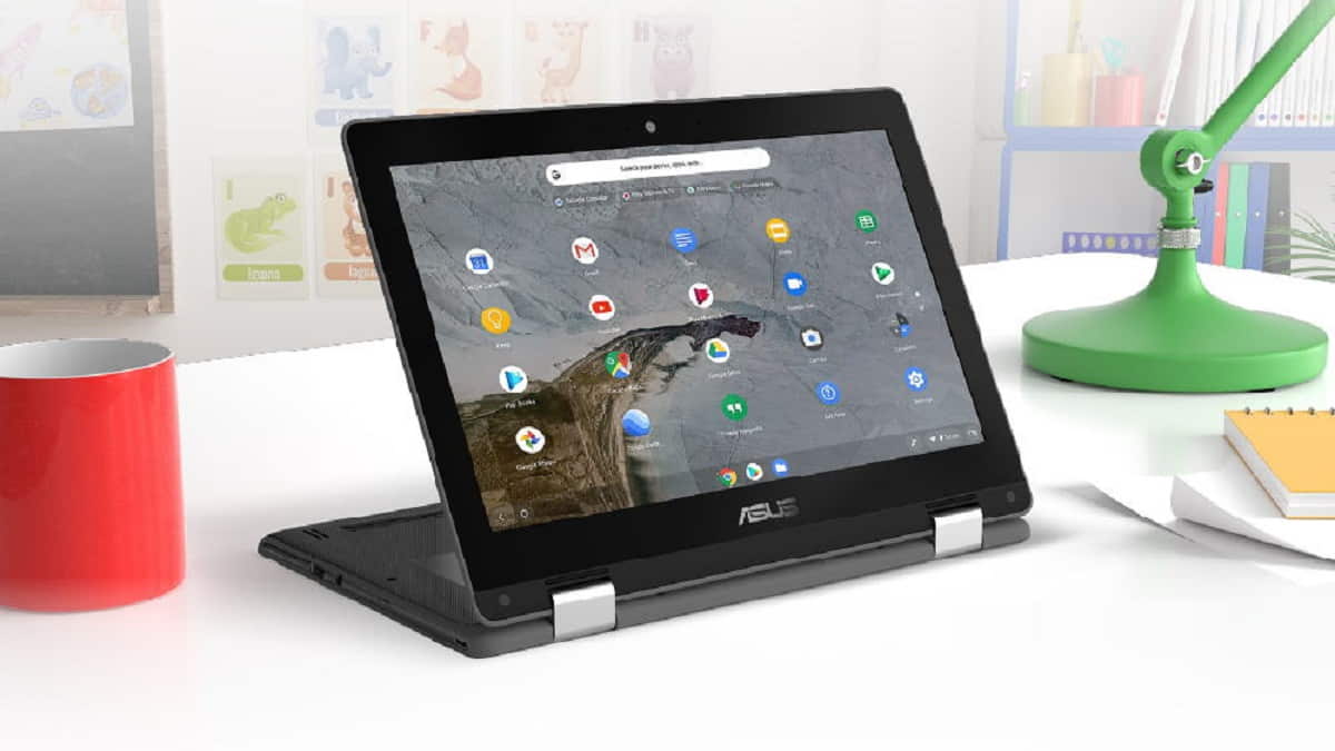 Asus Chromebook Flip C214MA BU0305 Hadir untuk Kalangan Pelajar