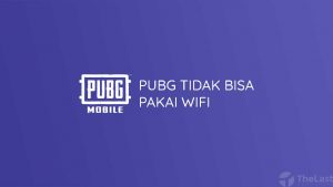 PUBG Tidak Bisa Pakai WiFi