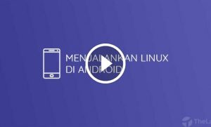 1665613245 admin ajax