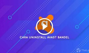 1666454819 admin ajax