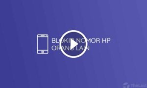 1667388872 admin ajax