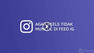 1669286904 admin ajax