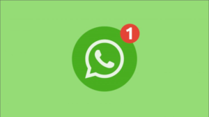 update whatsapp